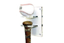 baseball bat display case for sale on better display cases