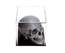 Display Case With Clear Base For Sale On BetterDisplayCases