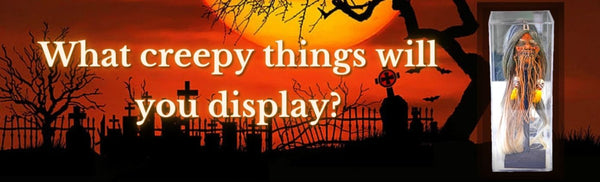 What Creepy Things Will You Display?