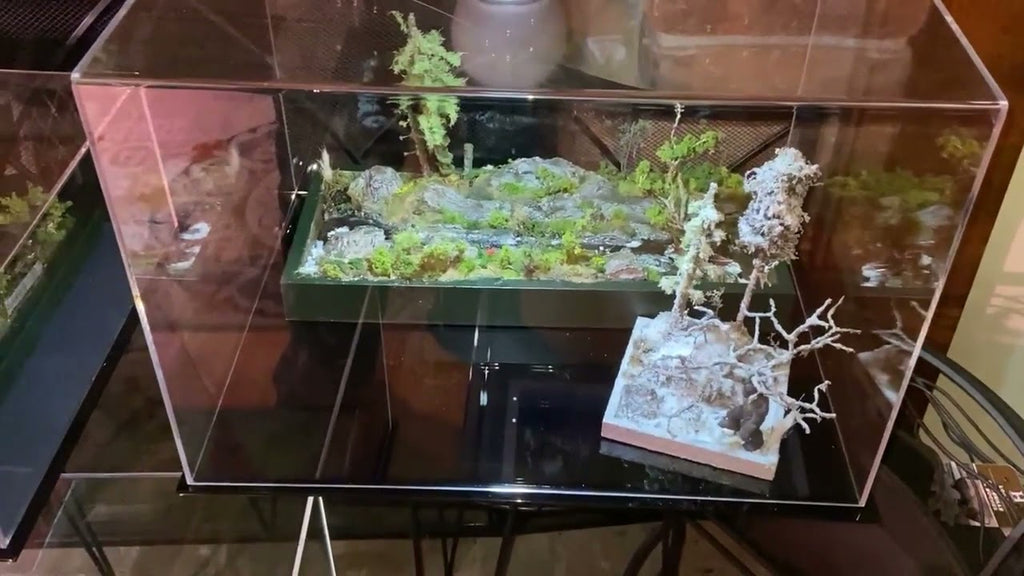 Shallow display case deals