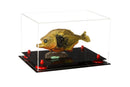 Memorabilia display case for sale on Better Display Cases
