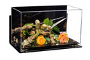 collectible showcase display box on Better Display Cases