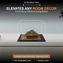 medium acrylic display case for antique books or memorabilia