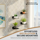 Acrylic Wall Mounted Floating Shelf – Better Display Cases