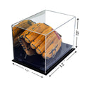 baseball display case for sale on Better Display Cases