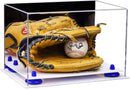 baseball display case for gloves for sale on Better Display Cases