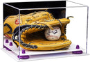 baseball display case for gloves for sale on Better Display Cases