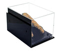 baseball display case for sale on Better Display Cases
