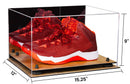 basketball shoes display case for sale on Better Display Cases