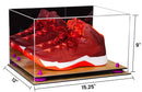 shoe collection display cases for sale on Better Display Cases
