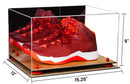 shoe collection display cases for sale on Better Display Cases