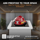 Display Case With Clear Case For Sale On BetterDisplayCases