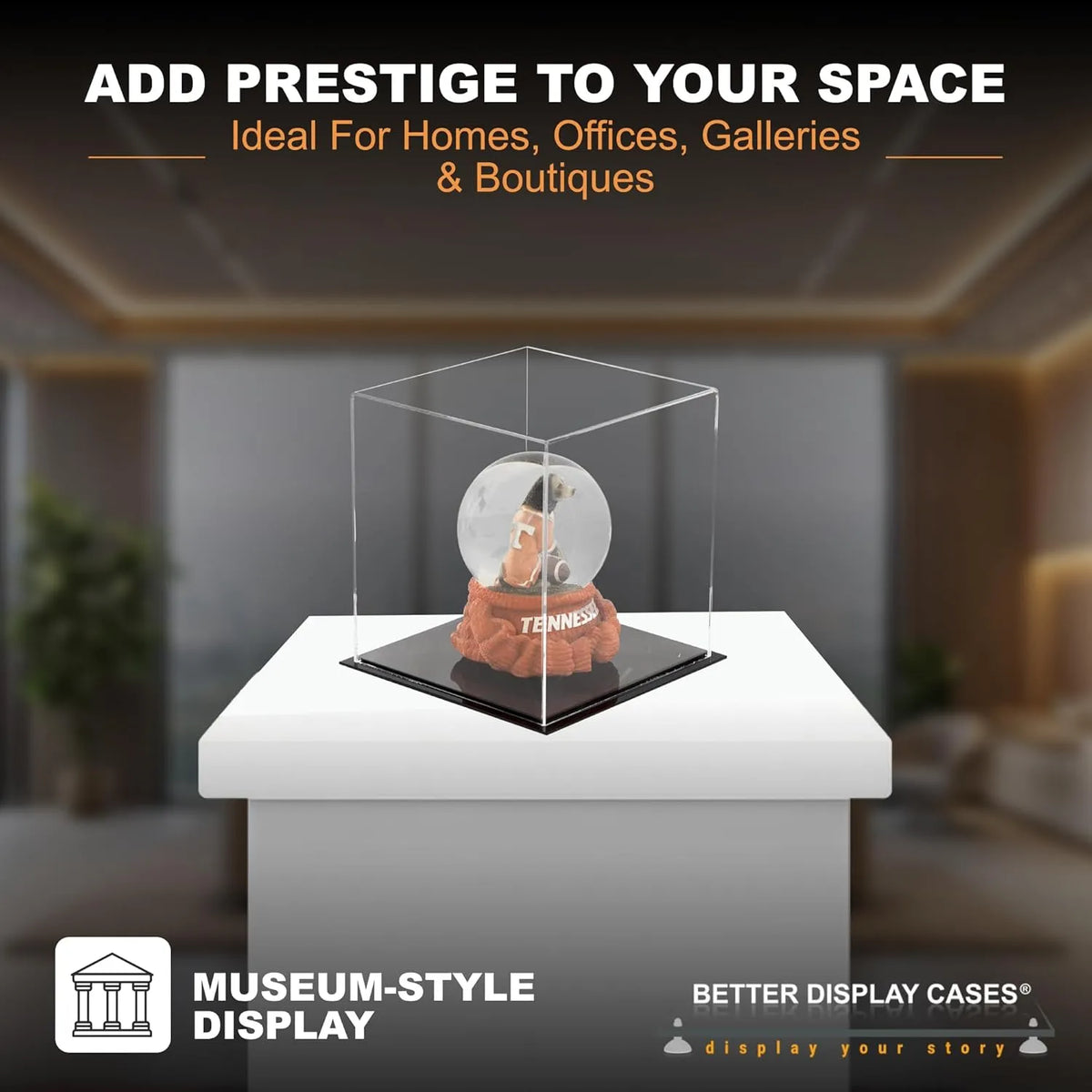 Display Case with Clear Base