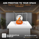 Display Case With Clear Case For Sale On BetterDisplayCases