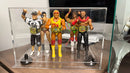 Display case for small WWE Figurines