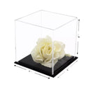 Display Case With Clear Base For Sale On BetterDisplayCases
