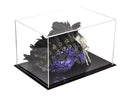 Display Case With Clear Case For Sale On BetterDisplayCases