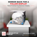 uv protected football helmet display case for sale at better display cases