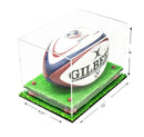 best display case for rugby ball for sale on Better Display Cases