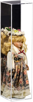 Mirror Back Horizontal Versatile Display Case