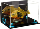 Acrylic Versatile Display Case 12 X 8.25 X 8 - Mirror Wall Mounts (V41/A004)