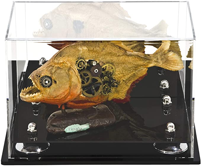 Versatile Acrylic Display Case 9.5 x 6 x 6.5 - Mirror No Wall Mounts (V43/A005)