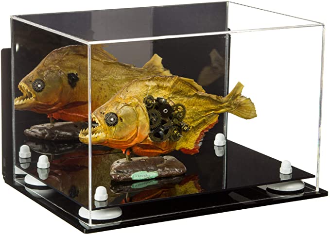 Acrylic Versatile Display Case 12 X 8.25 X 8 - Mirror Wall Mounts (V41/A004)