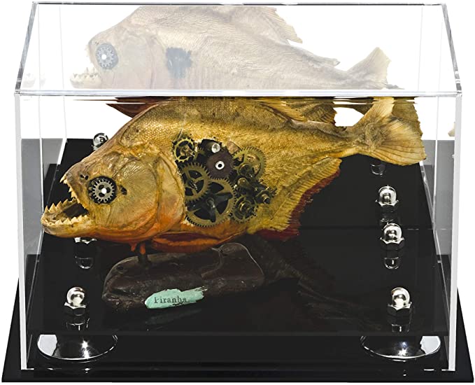 Versatile Acrylic Display Case 9.5 x 6 x 6.5 - Mirror No Wall Mounts (A005/V43)