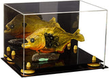 Acrylic Versatile Display Case 12 X 8.25 X 8 - Mirror no Wall Mounts (V41/A004)