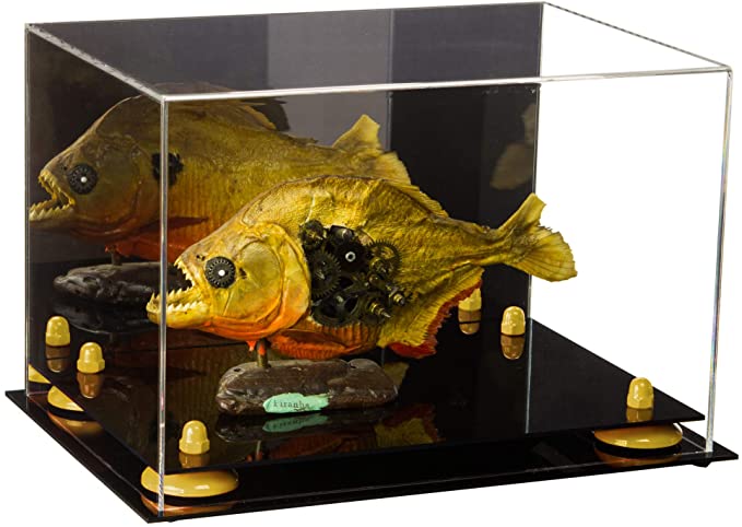 Acrylic Versatile Display Case 12 X 8.25 X 8 - Mirror no Wall Mounts (V41/A004)
