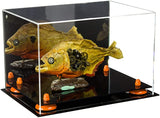 Acrylic Versatile Display Case 12 X 8.25 X 8 - Mirror no Wall Mounts (V41/A004)