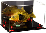 Acrylic Versatile Display Case 12 X 8.25 X 8 - Mirror no Wall Mounts (V41/A004)