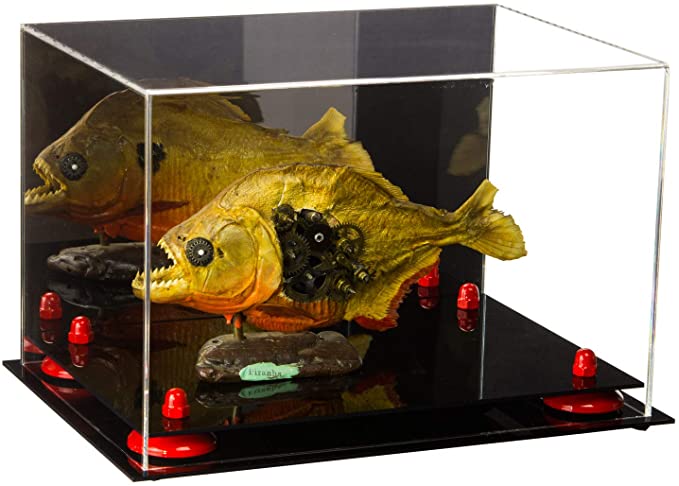 Acrylic Versatile Display Case 12 X 8.25 X 8 - Mirror no Wall Mounts (V41/A004)