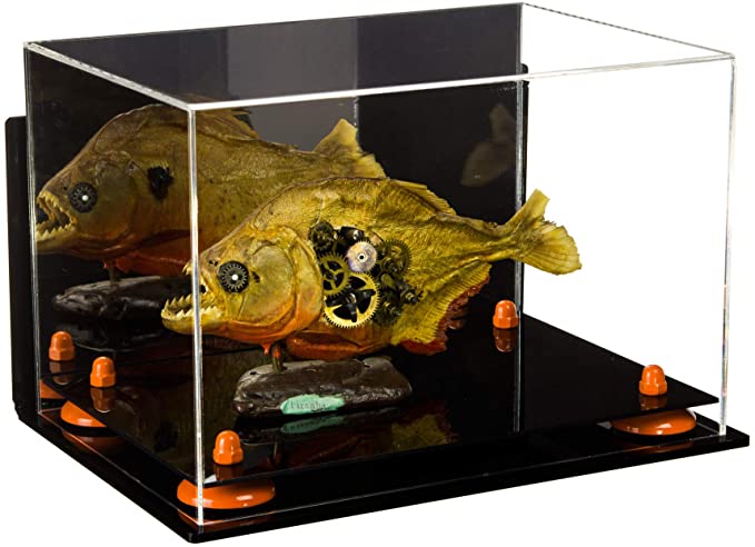 Acrylic Versatile Display Case 12 X 8.25 X 8 - Mirror Wall Mounts (V41/A004)