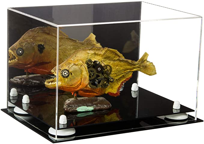 Acrylic Versatile Display Case 12 X 8.25 X 8 - Mirror no Wall Mounts (V41/A004)