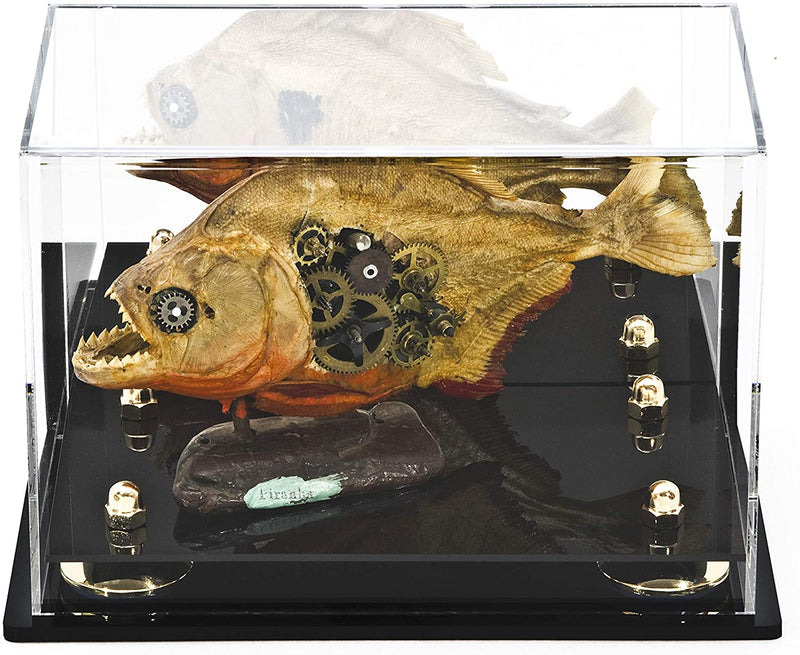 Versatile Acrylic Display Case 9.5 x 6 x 6.5 - Mirror Wall Mounts  (A005/V43)