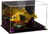 Acrylic Versatile Display Case 12 X 8.25 X 8 - Mirror no Wall Mounts (V41/A004)