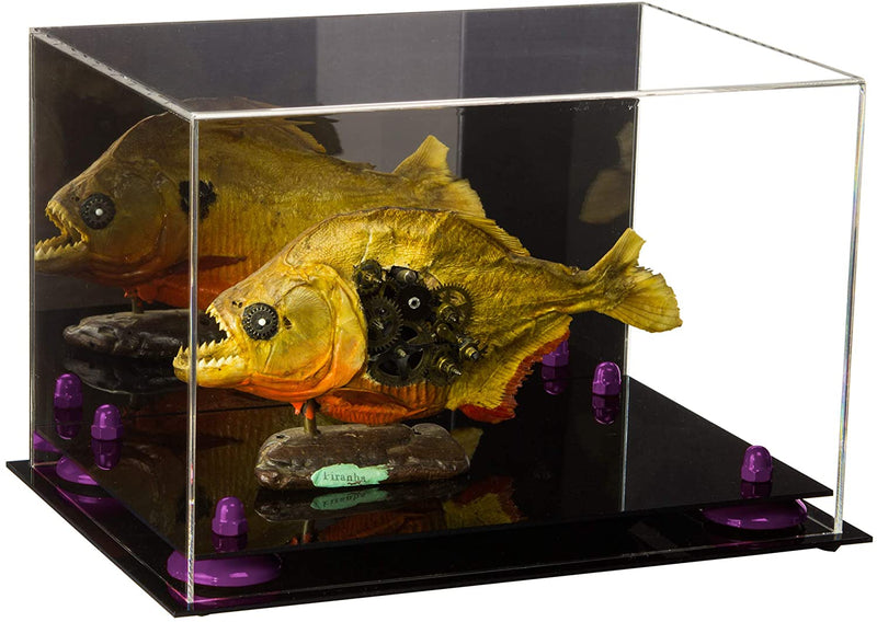 Acrylic Versatile Display Case 12 X 8.25 X 8 - Mirror no Wall Mounts (V41/A004)