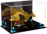 Acrylic Versatile Display Case 12 X 8.25 X 8 - Mirror no Wall Mounts (V41/A004)