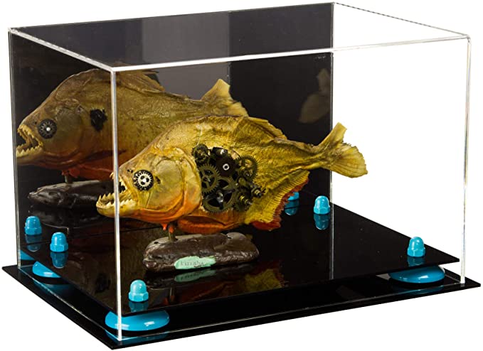 Acrylic Versatile Display Case 12 X 8.25 X 8 - Mirror no Wall Mounts (V41/A004)