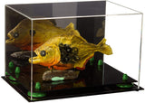 Acrylic Versatile Display Case 12 X 8.25 X 8 - Mirror no Wall Mounts (V41/A004)