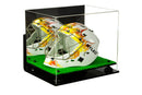 Versatile acrylic display case for sale on Better Display Cases