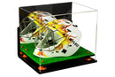 Dustproof clear acrylic display case for collectible display
