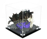 Acrylic Versatile Display Case 10 X 10 X 10 Clear (A028/V33)