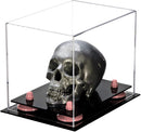 Versatile acrylic display case for sale on Better Display Cases