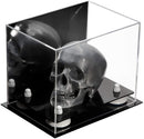 Versatile acrylic display case for sale on Better Display Cases