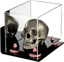 Clear acrylic display case for collectibles and memorabilia