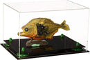 Memorabilia display case for sale on Better Display Cases