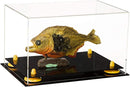 Collectible display case for sale on Better Display Cases