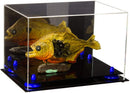 Clear acrylic display case for sale on Better Display Cases